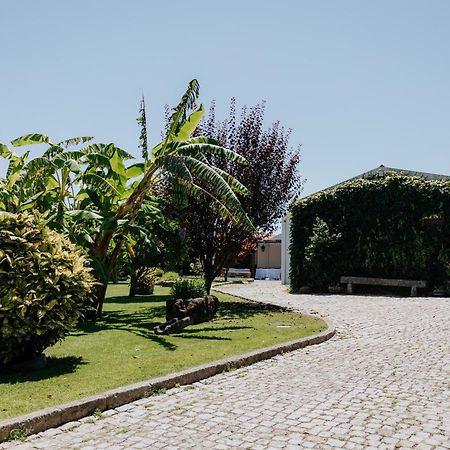 Casa Dos Meus Avos -Villas - Gaia & Porto فيلا نوفا دي غايا المظهر الخارجي الصورة