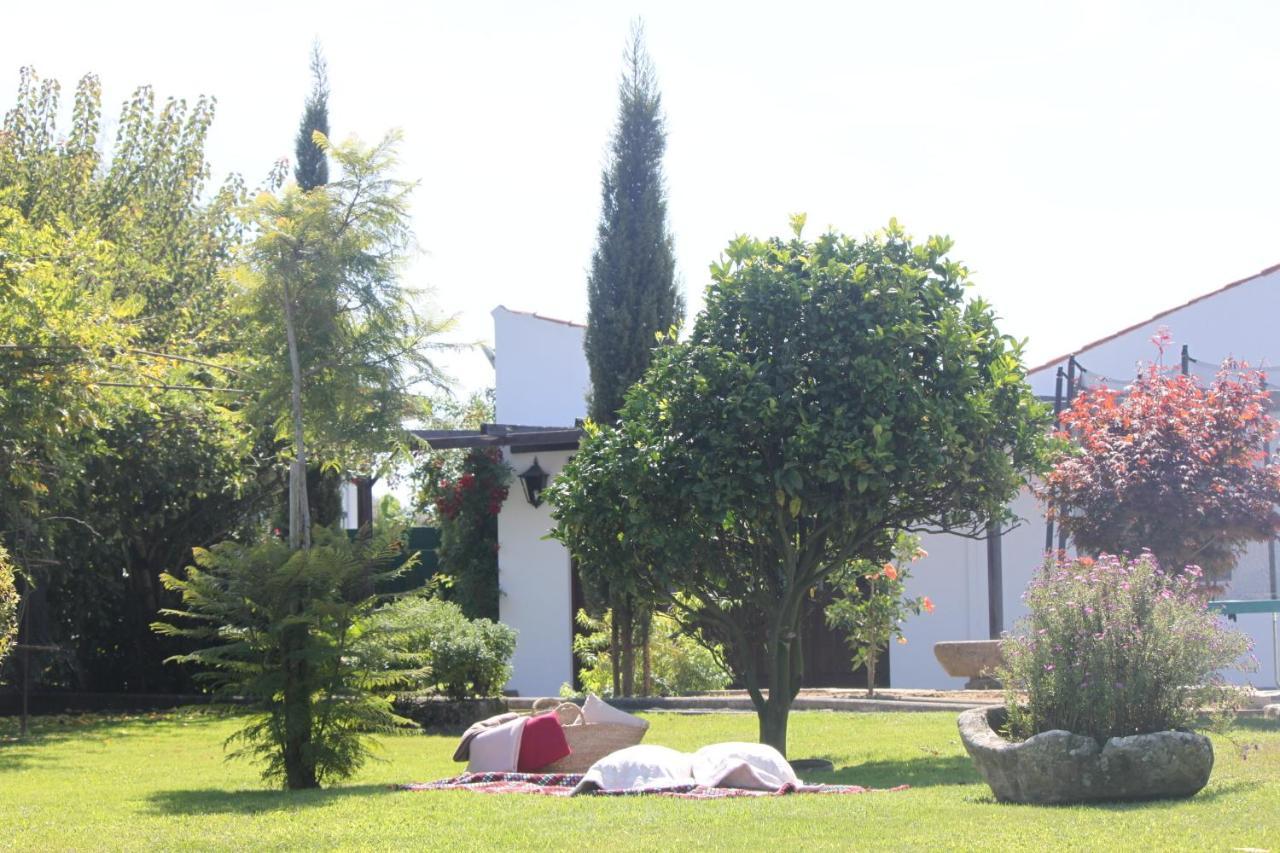 Casa Dos Meus Avos -Villas - Gaia & Porto فيلا نوفا دي غايا المظهر الخارجي الصورة